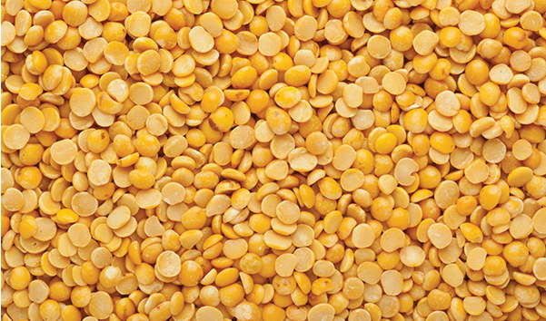 products 16 toor dal